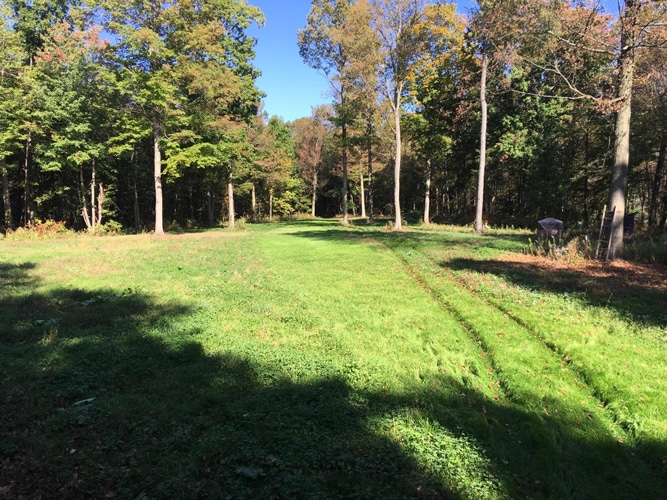 Food Plot Bellville OH