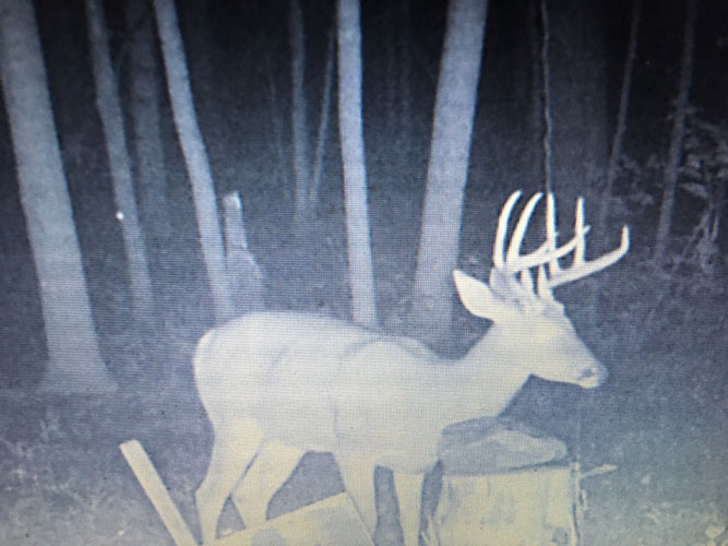 Trail Cam Bellville OH