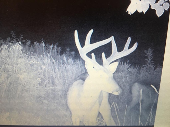 Trail Cam Bellville OH