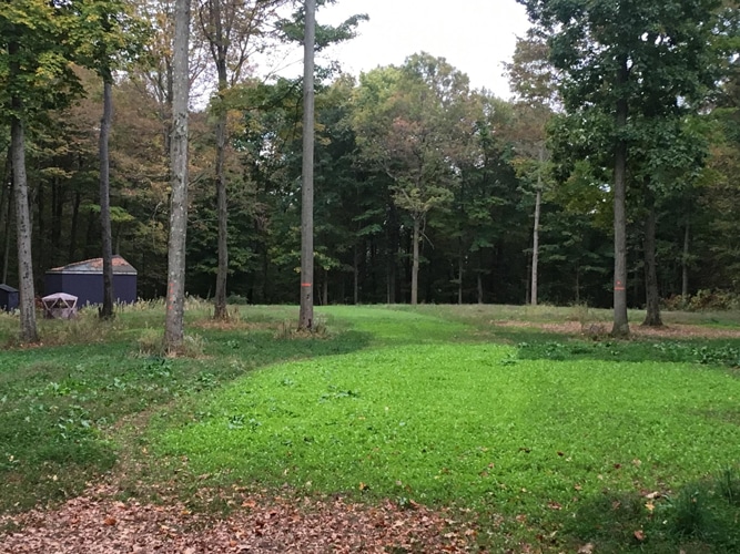 Hunting Bellville OH Food Plot