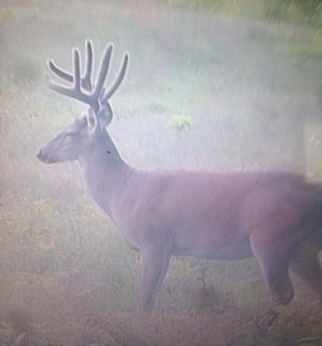 Ohio Guide Outfitters Whitetail Hunting